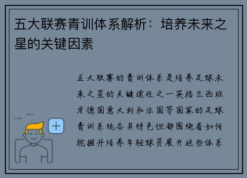 五大联赛青训体系解析：培养未来之星的关键因素